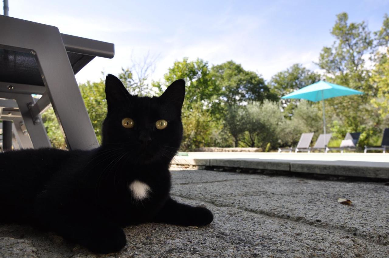 Un Je Ne Sais Quoi De Paradis Les Vans Esterno foto